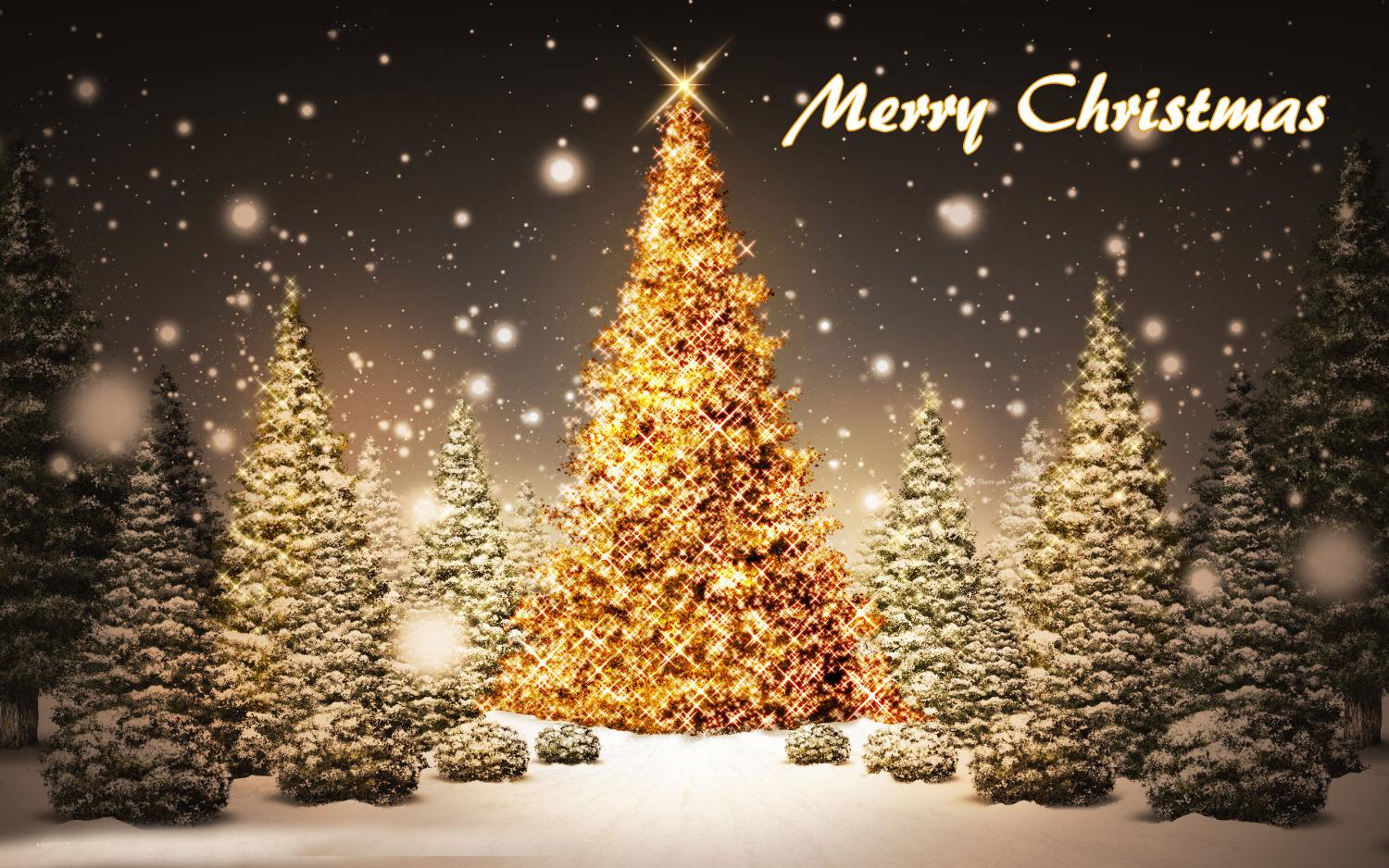 http://techbeasts.com/wp-content/uploads/2016/12/Merry-Christmas-Tree-Hd-Wallpaper-free-download.jpg