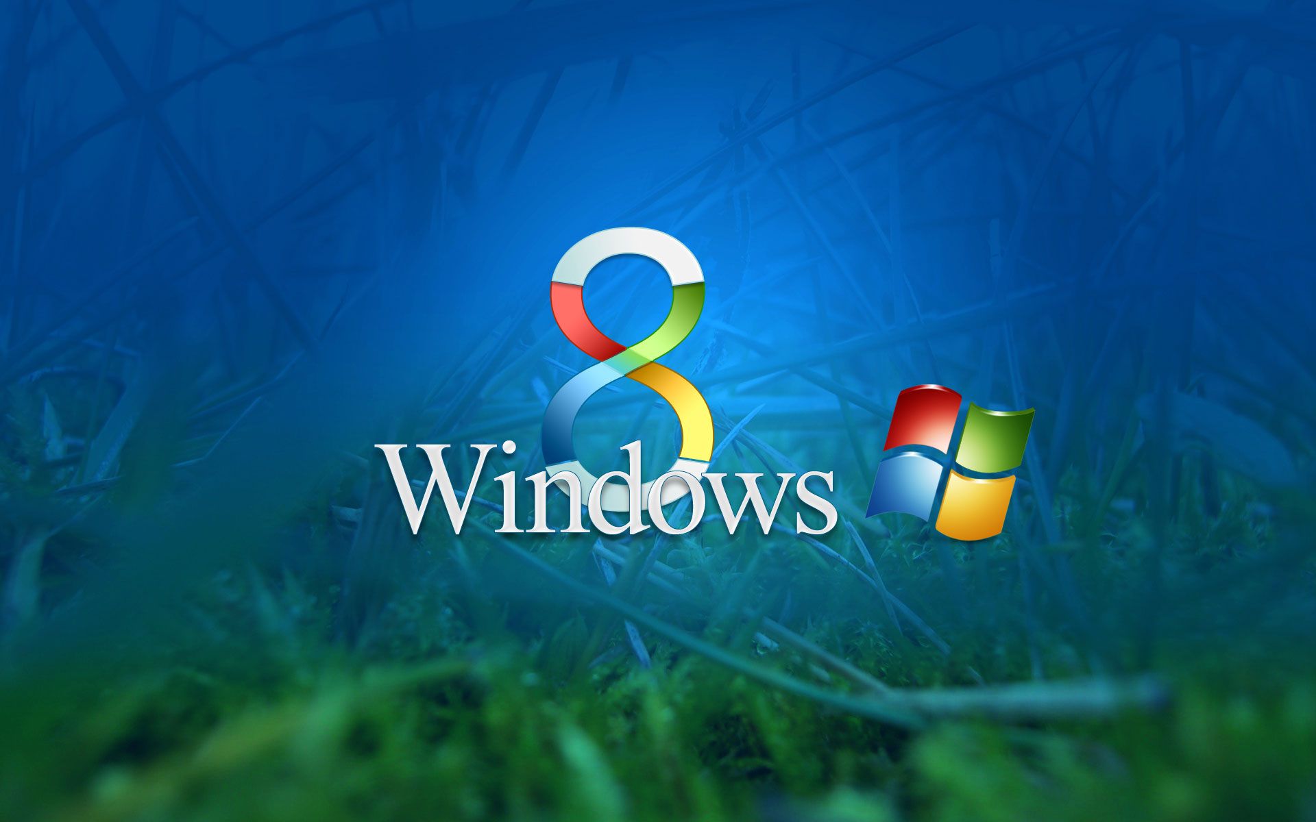 windows 8 official desktop wallpaper