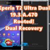 t2 Ultra dual lollipop root