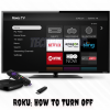 Turn off Roku