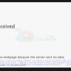 Google Chrome: “No data received” Error