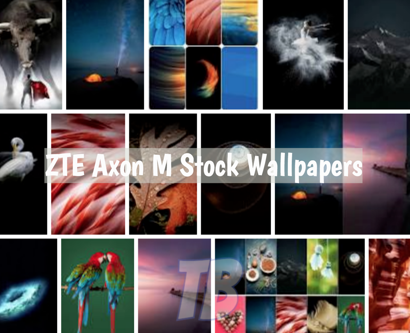 ZTE Axon M Stock Wallpapers