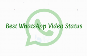 Best WhatsApp Video Status: Comedy, Single, Motivation & More Best WhatsApp Video Status