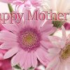 mothers day fb covers instagram panorama