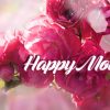 mothers day fb covers instagram panorama